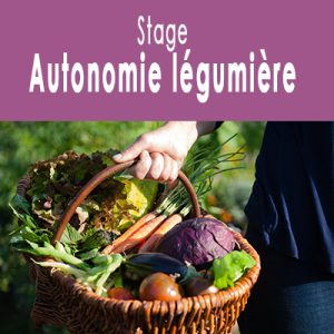 Stage d'autonomie légumière au Potager en carrés à la Française