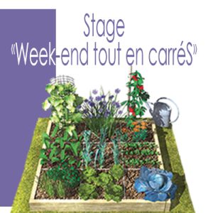 Stage week-end tout en carrés au Potager en carrés à la Française